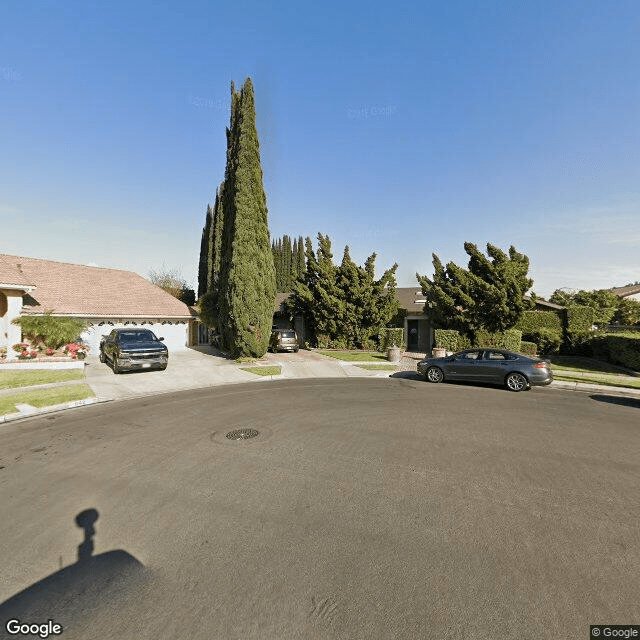 Olive Tree Home Care