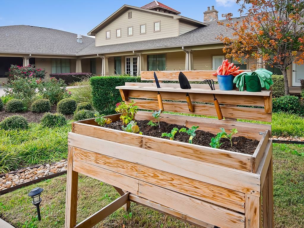 A raised garden bed with various plants and gardening tools in a backyard setting.