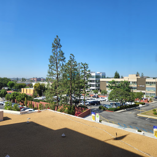 A view of a vibrant cityscape featuring buildings and trees under a clear blue sky.