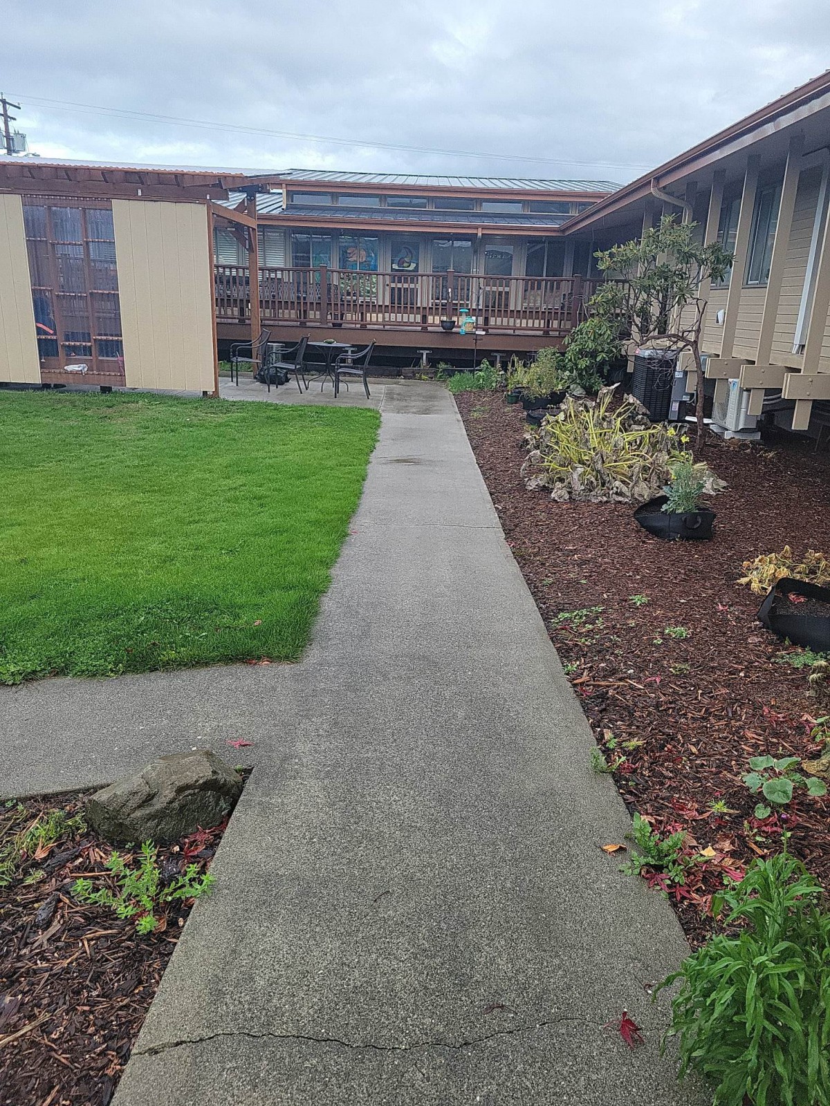 A concrete path surrounded by a garden and leading to a building.