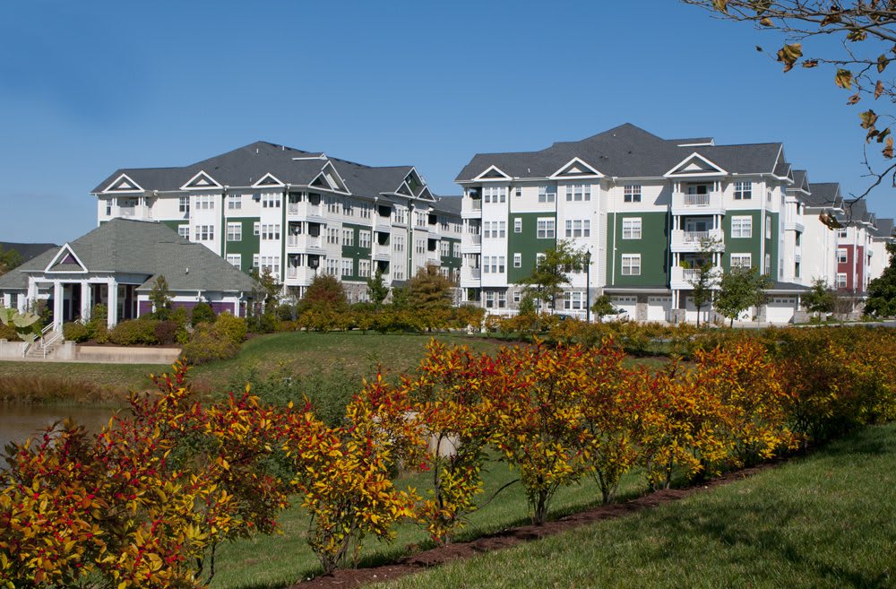 A view of residential apartment buildings with colorful autumn trees in the foreground.