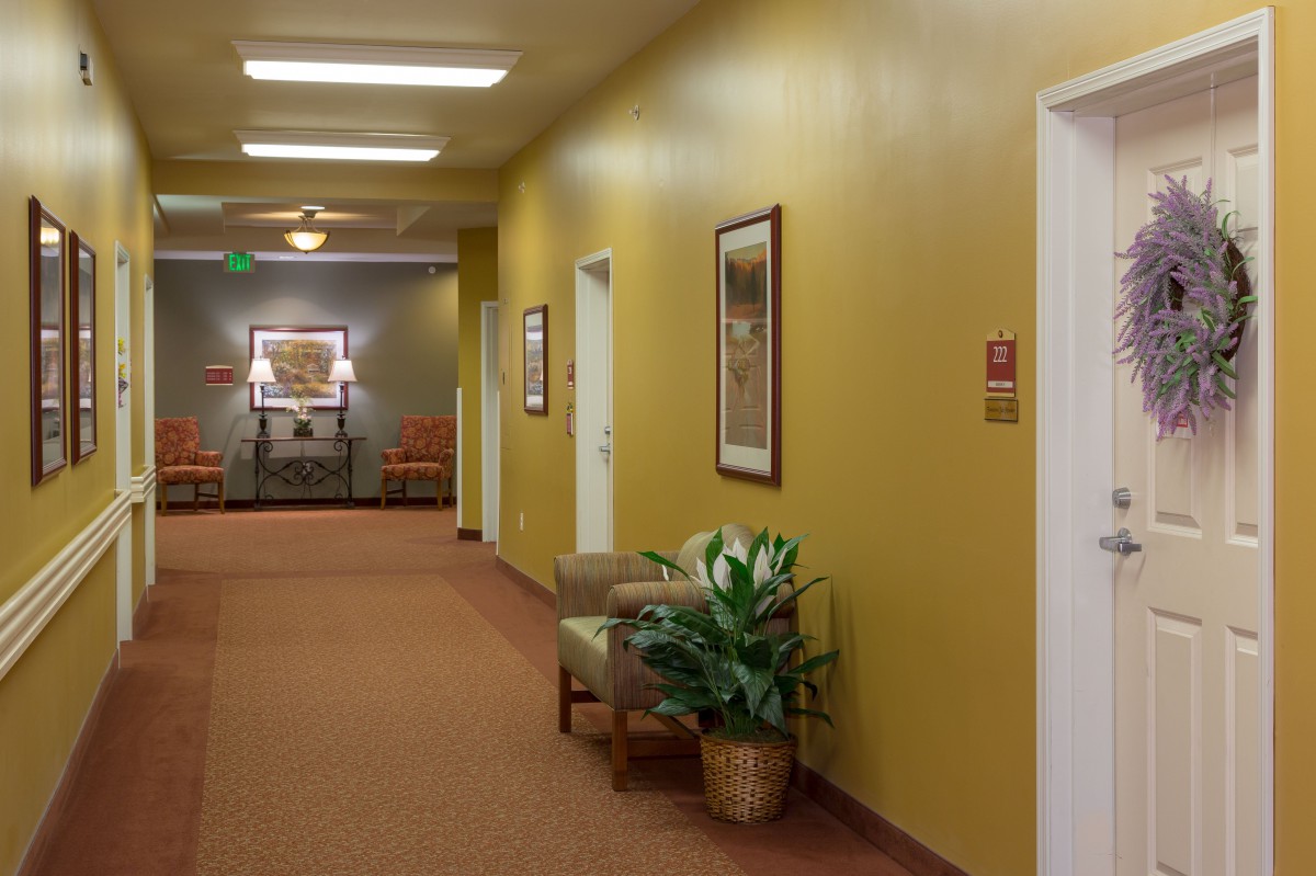 A well-lit hallway with seating, paintings, and a potted plant.