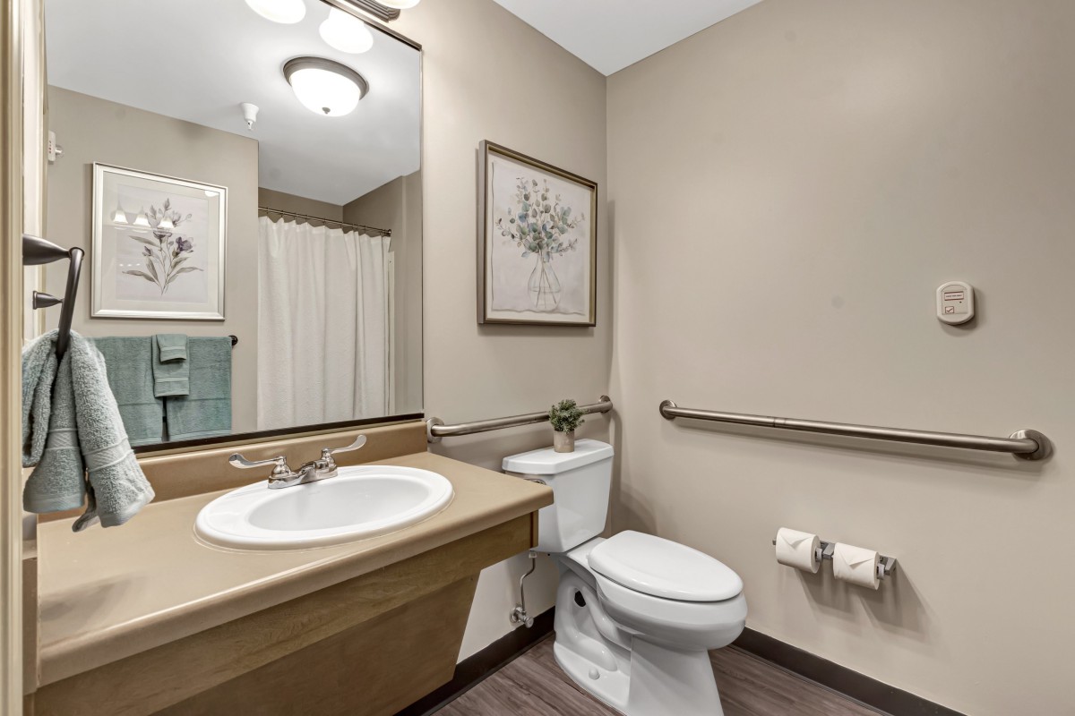 A modern bathroom featuring a toilet, sink, mirror, and grab bars for accessibility.