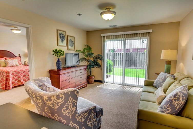 A cozy living room with a sofa, armchair, dresser, television, and indoor plants, featuring a sliding glass door leading to an outdoor area.