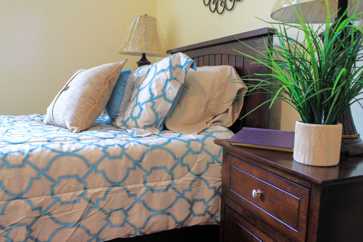 Cozy bedroom with a neatly arranged bed, decorative pillows, and a nightstand featuring a lamp and plant.