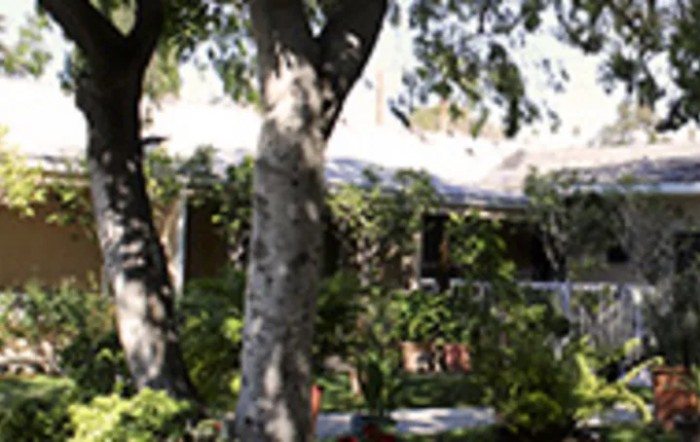 A quaint house surrounded by lush greenery and trees.