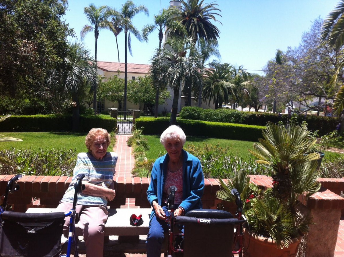 Alexander Gardens