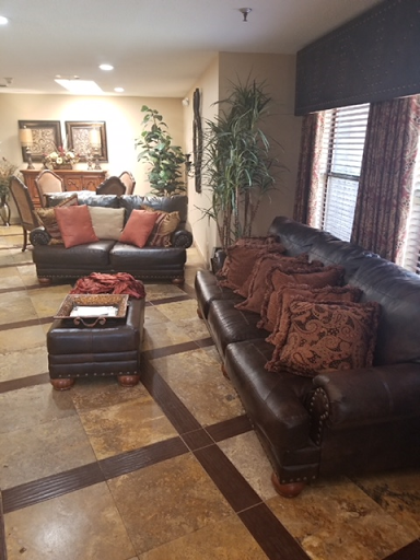 A cozy living room setup featuring leather sofas, decorative pillows, and a coffee table.