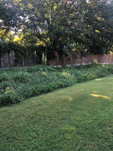 A serene backyard view featuring lush green grass, trees, and a wooden fence in the background.