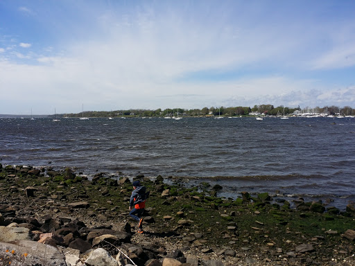 A serene view of the shoreline with gentle waves lapping against the rocks under a clear sky.