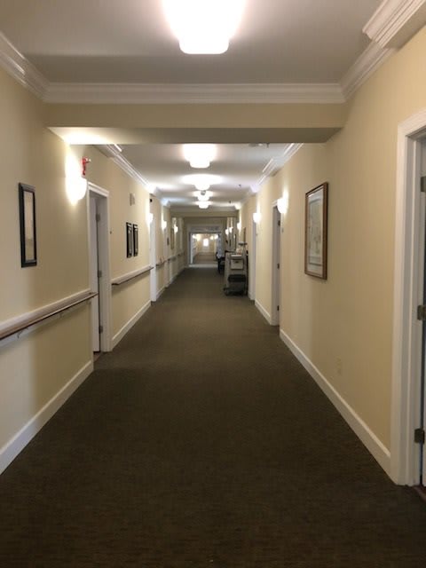 A long indoor hallway with carpeted flooring and multiple doors, featuring soft lighting and framed pictures on the walls.