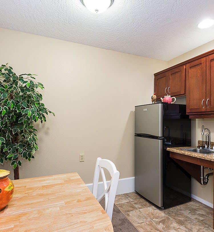A cozy kitchen area featuring a small dining table, chairs, a fridge, and wooden cabinets with an indoor plant for decoration.