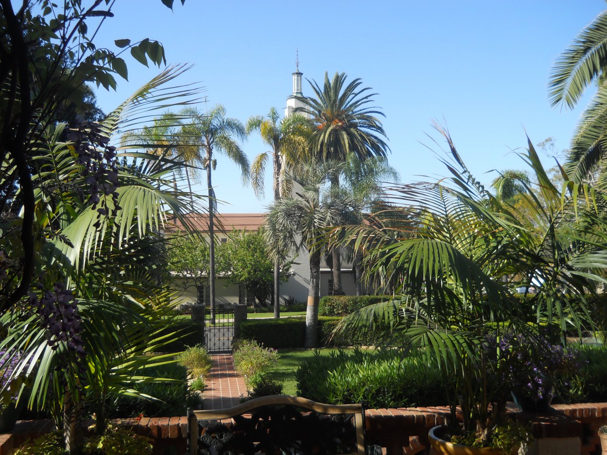 A serene garden with palm trees and a distant tower under a clear blue sky.