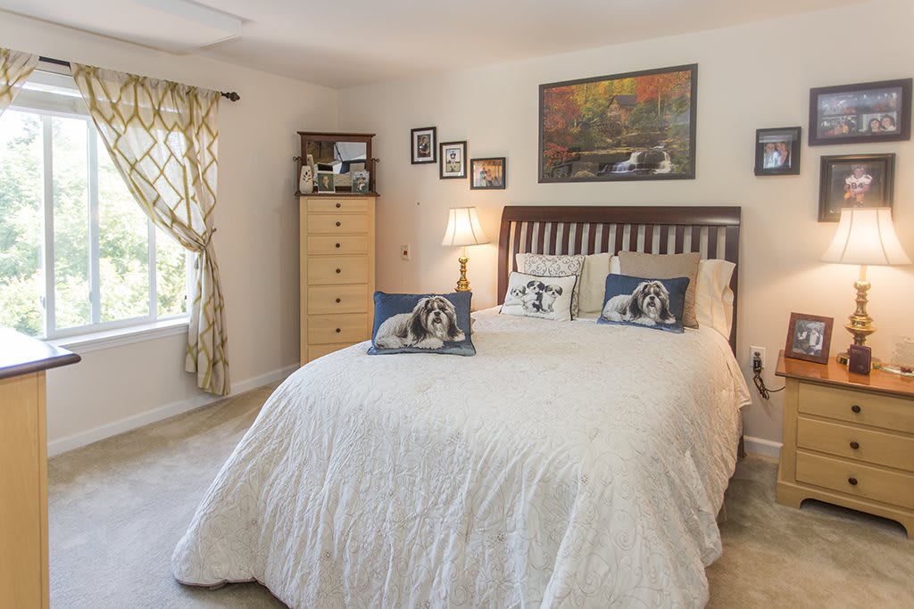 A cozy bedroom with a neatly made bed and decorative pillows featuring dog prints, surrounded by charming wall art and furniture.