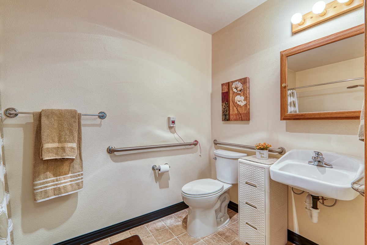 A well-equipped bathroom with accessibility features including handrails, a toilet, sink with vanity, and decor elements.