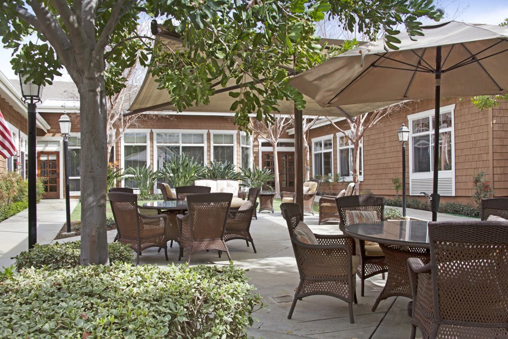 An inviting outdoor patio area with tables, chairs, and umbrellas surrounded by greenery.
