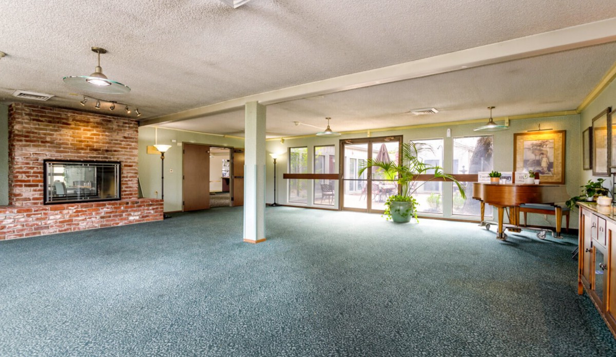 A spacious living area with large windows, carpeted floors, and a potted plant bringing in natural light.