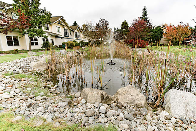 A serene pond with a fountain, surrounded by houses and trees.