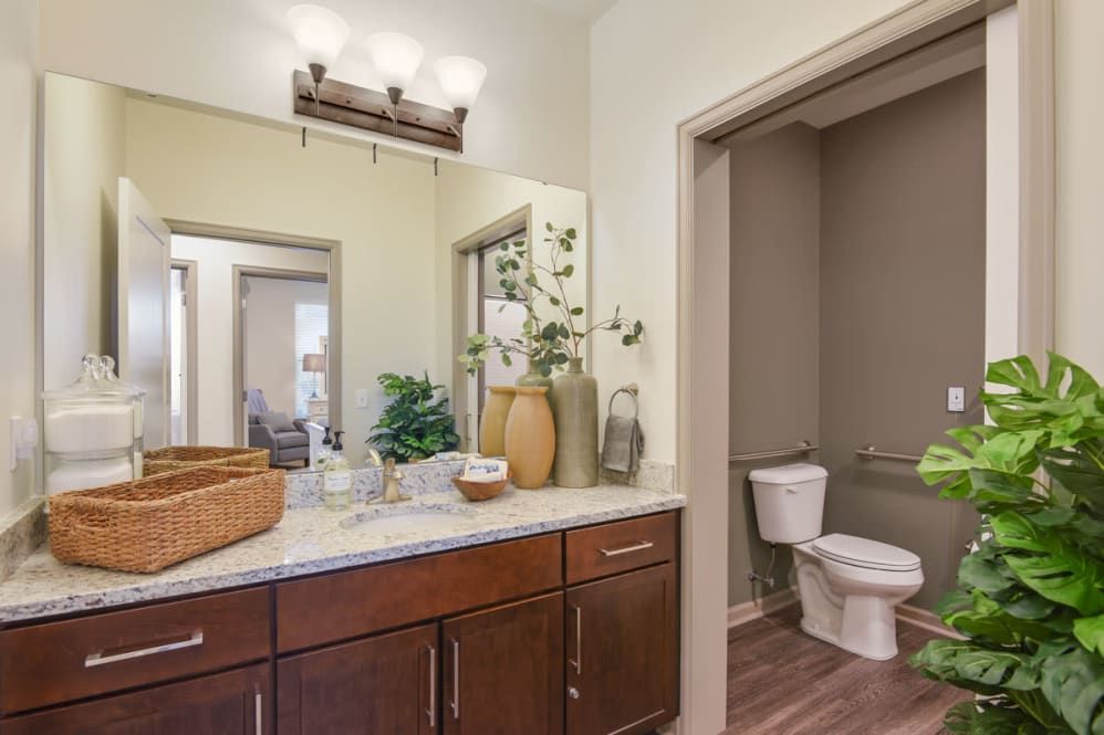 A modern bathroom with a vanity, mirror, and toilet, featuring tasteful decor.