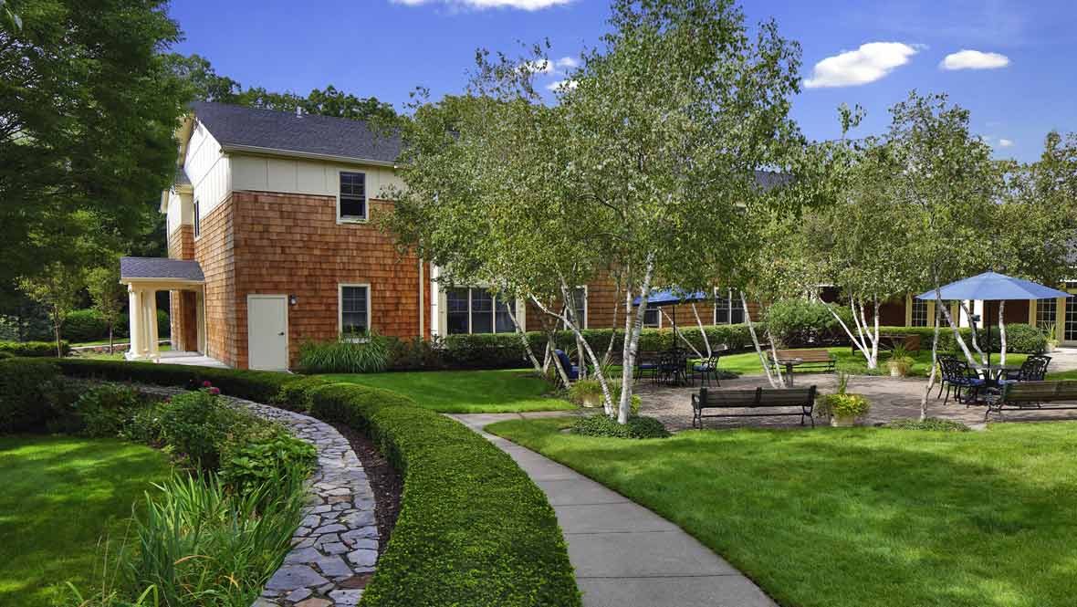 A beautiful garden with a pathway leading between trees and a house.