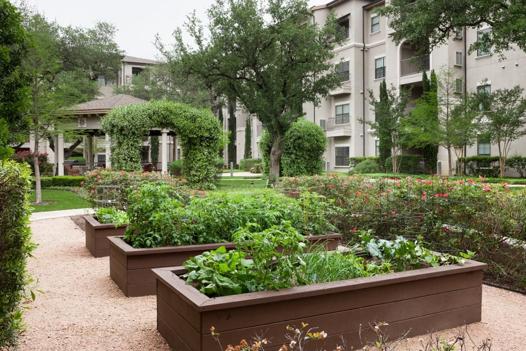 A residential community garden with neatly arranged raised beds full of lush green plants.