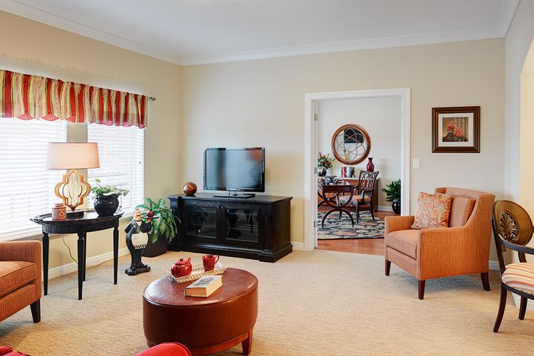 A cozy living room with a television, armchair, coffee table, and decorative plants.