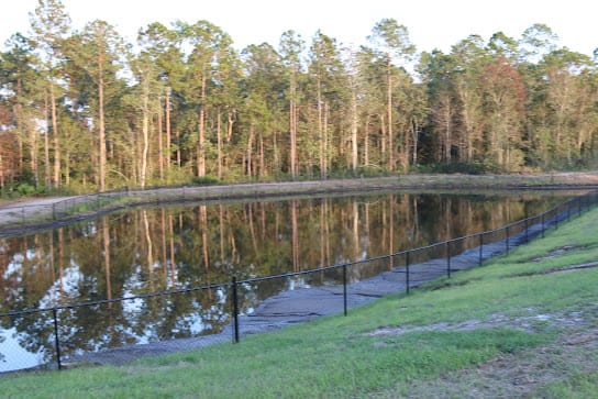 A serene pond surrounded by trees with reflections in the water.