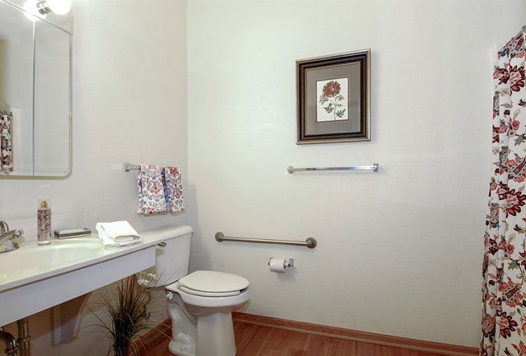 A clean bathroom with a toilet, handrails, and decorative wall art.