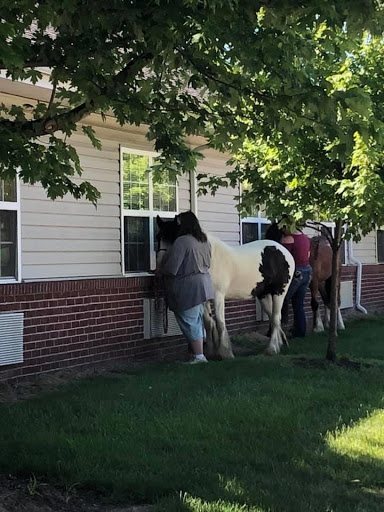 A group of people interacting with horses by a residence.