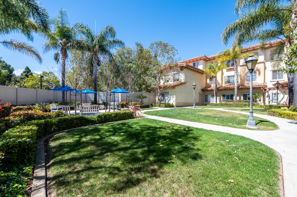 A residential area featuring a swimming pool surrounded by palm trees and well-maintained landscaping.