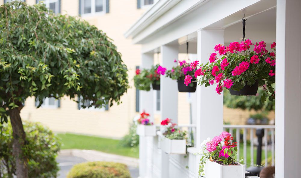A porch adorned with vibrant pink flowers in hanging baskets.
