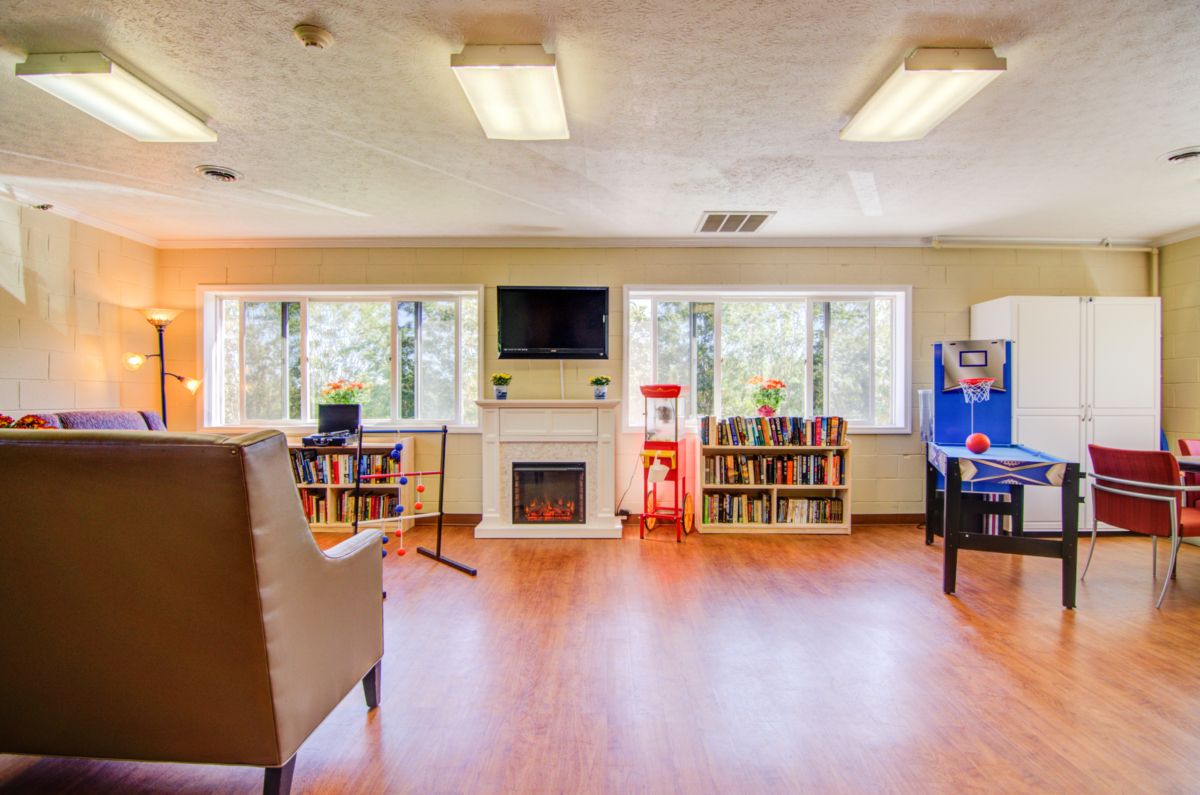A cozy living room with bookshelves, a television, and a fireplace, illuminated by natural light.