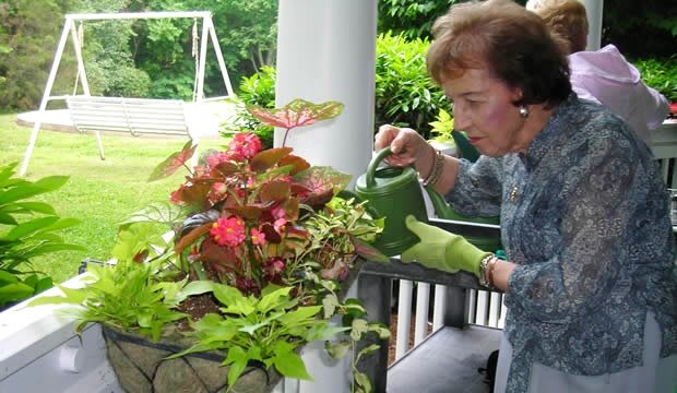 A person waters a vibrant collection of potted plants on a porch.