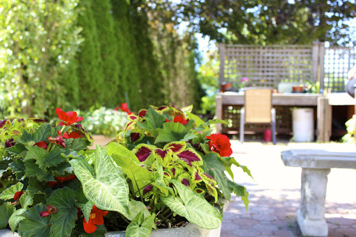 A vibrant garden setting with blooming flowers and a sunlit patio.