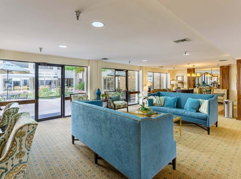 A modern living room with stylish blue sofas and ample natural lighting.