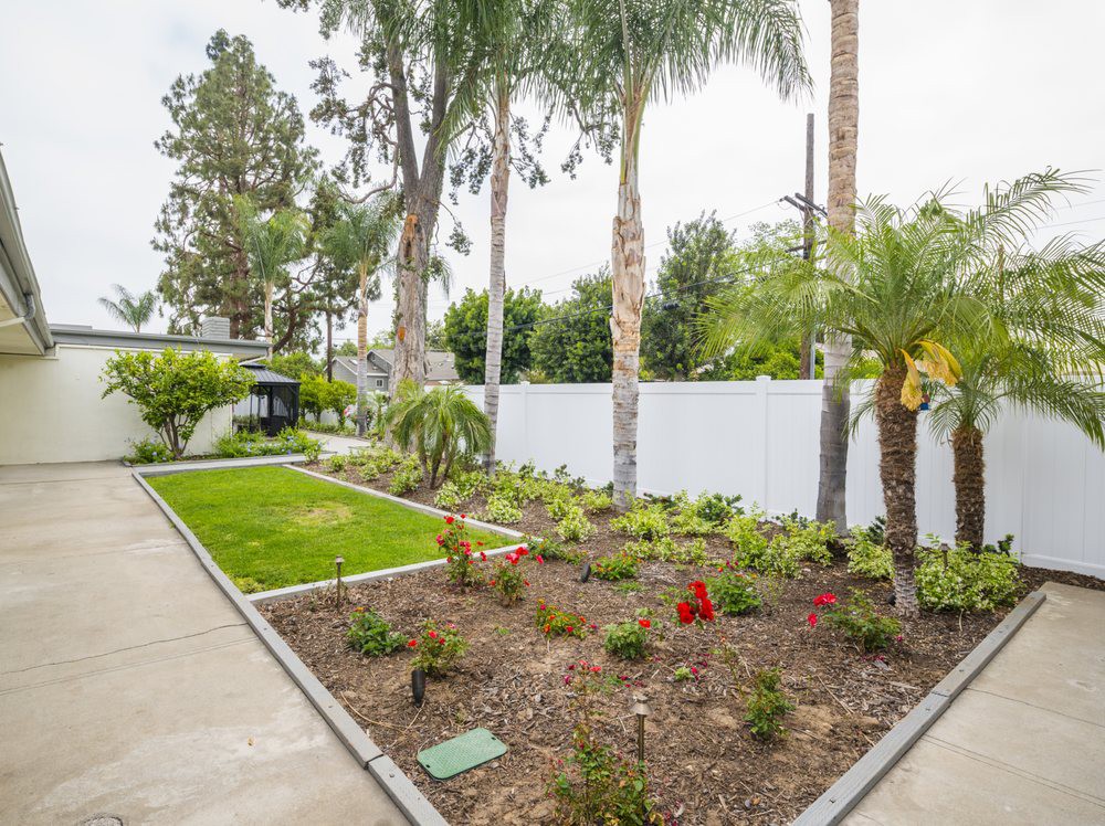 A well-maintained garden with palm trees and a neatly edged pathway.