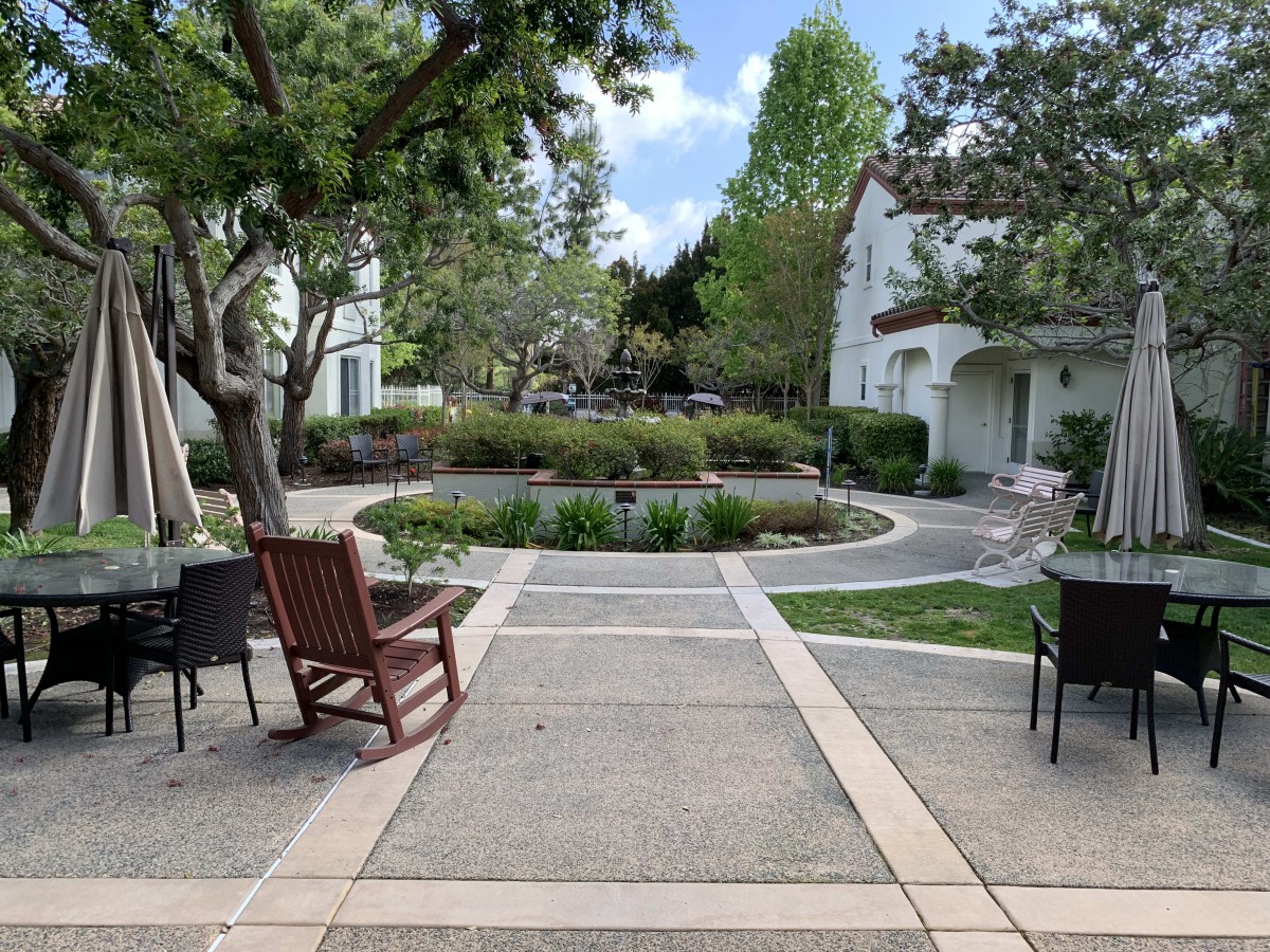 A peaceful garden with chairs and a paved pathway surrounded by greenery.