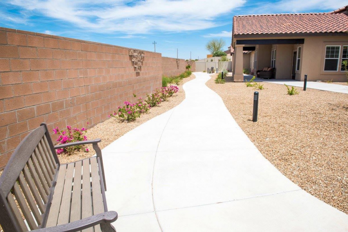 A backyard pathway lined with flowers and a brick wall on a sunny day.