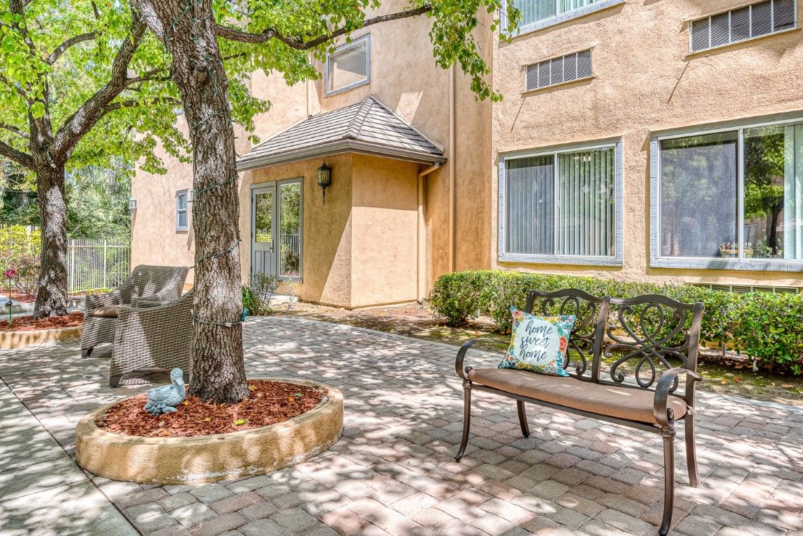 A peaceful courtyard with a bench under a tree, surrounded by a building and paved walkway.