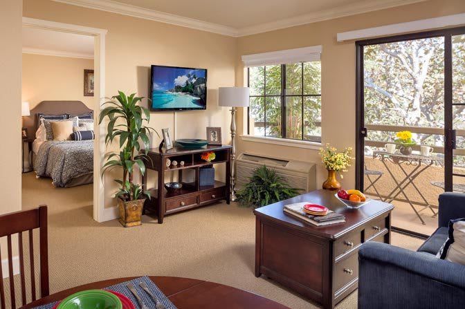 A cozy living room with modern decor, featuring a television, plants, and ample natural light.