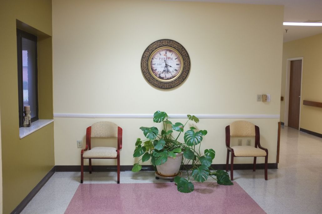 A minimalist waiting room features a clock on the wall, two chairs, and a large potted plant.