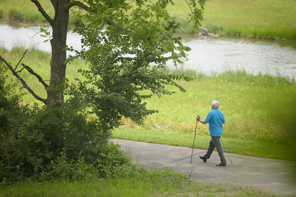 A person walking with a stick on a path surrounded by greenery and a nearby lake.