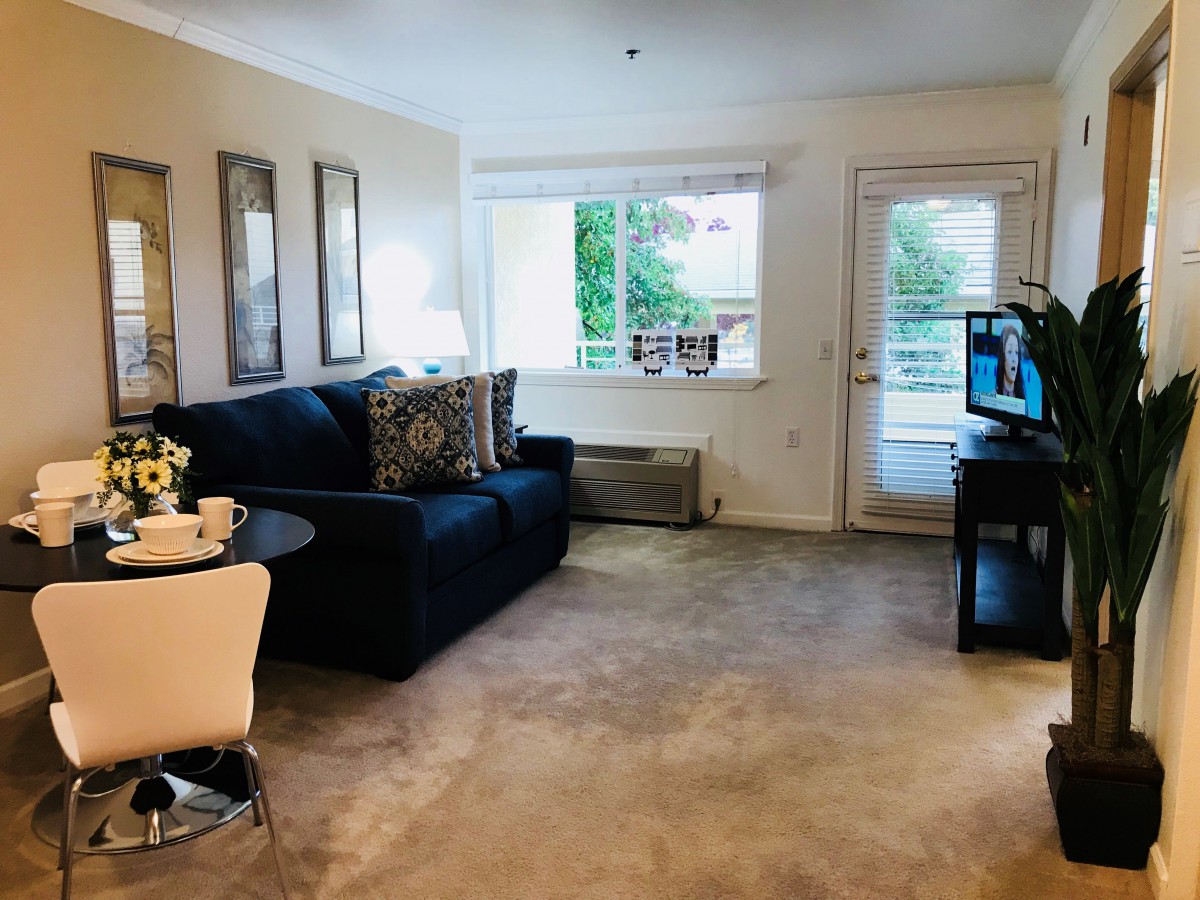 A cozy living room with a sofa, table, and TV, featuring a large window bringing in natural light.