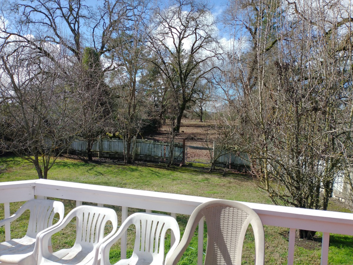A peaceful backyard view with plastic chairs and bare trees.