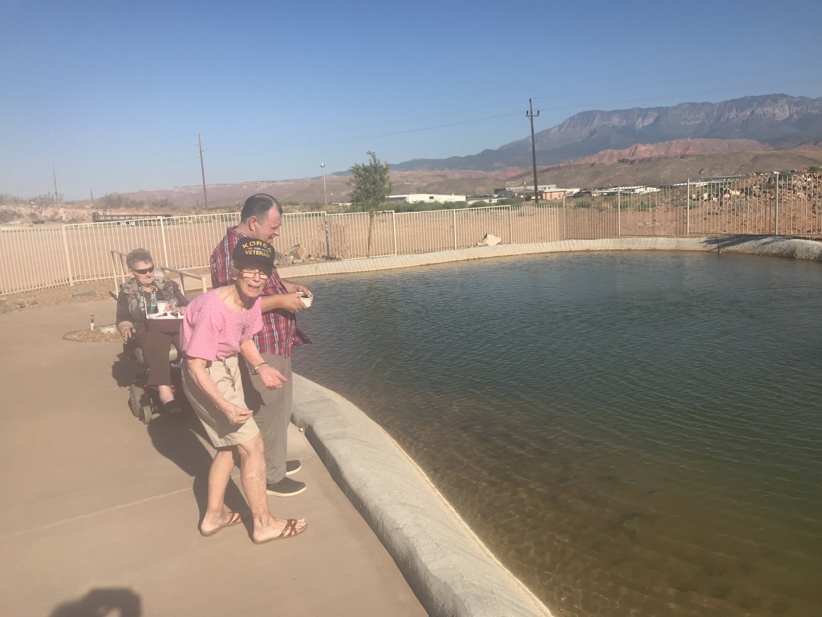 A family enjoying a sunny day by the pond.
