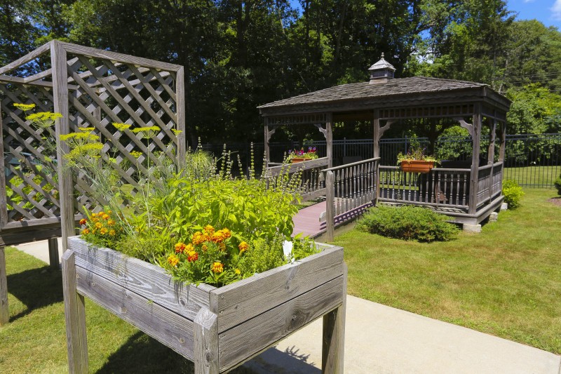 A tranquil garden scene featuring a raised flower bed with vibrant blooms and a wooden gazebo in the background.
