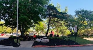 A serene park scene with people enjoying the outdoors among lush trees.