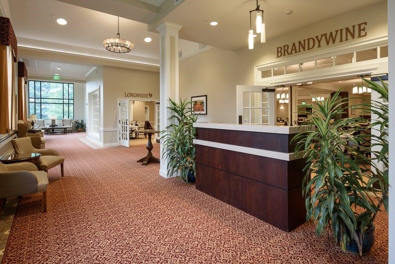 A well-decorated reception area featuring a desk, carpeted floors, plants, and overhead lighting.