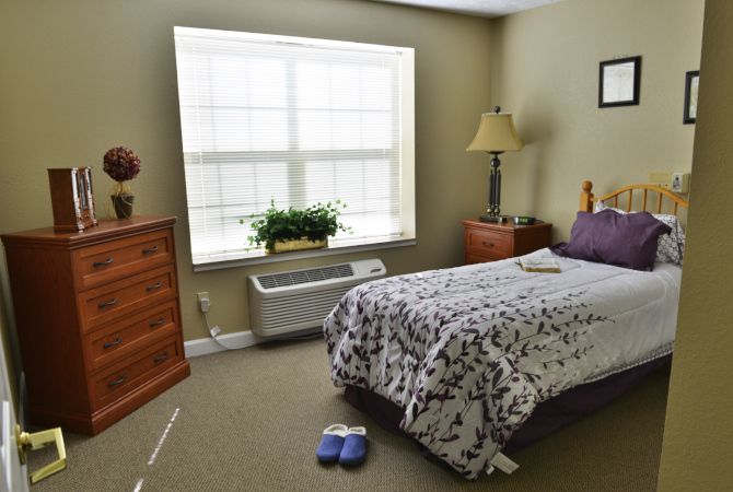 A cozy bedroom with a single bed, decorated with a lamp and plant near the window.