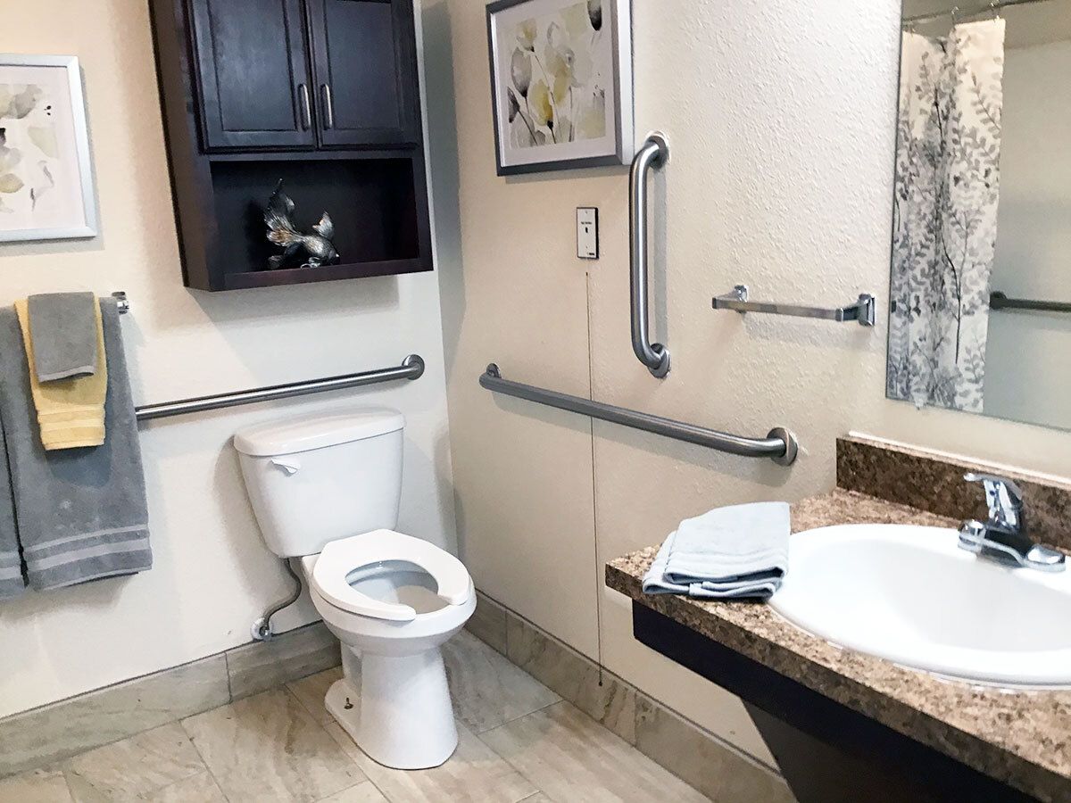 A modern, accessible bathroom featuring a toilet, sink, and grab bars.